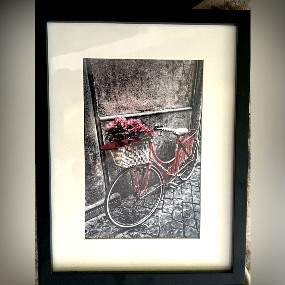 Red Bicycle Flower Basket Cafe Print Europe France Old Town Vintage Summer Ride